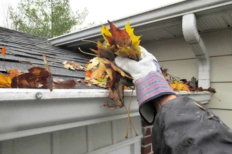 Downspout Cleaning in Richmond, VA